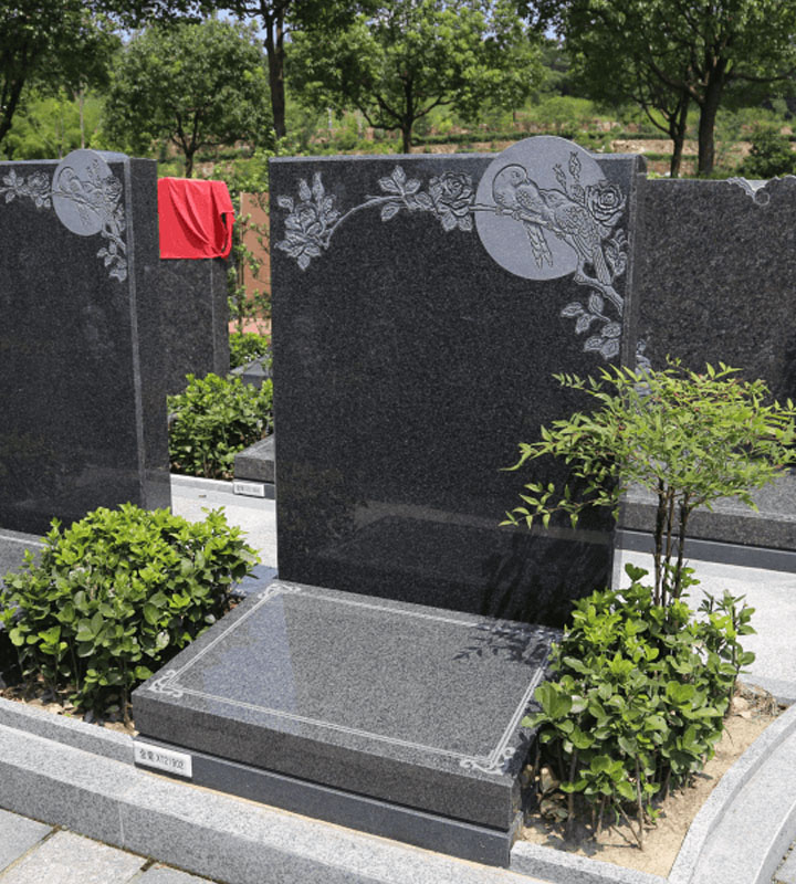 Group 5_1.jpg